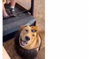 867628